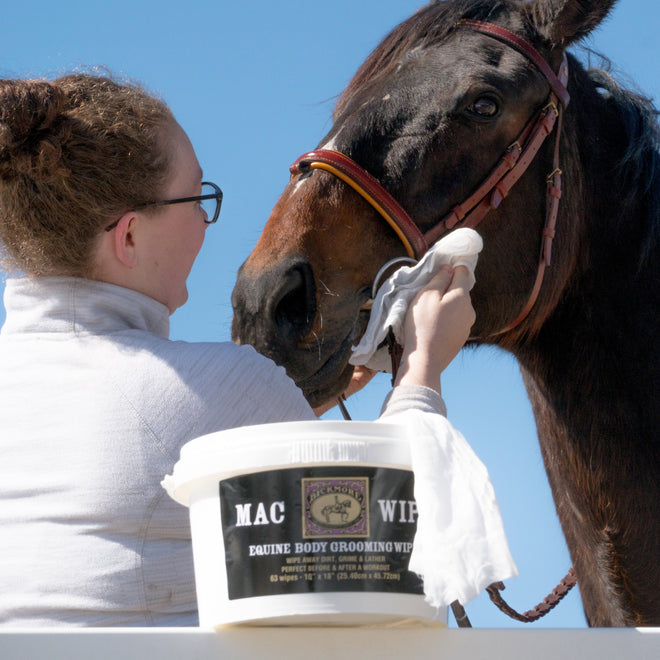 Equine Care